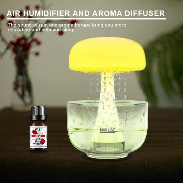Raindrop Humidifier